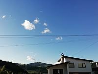 Nižná
