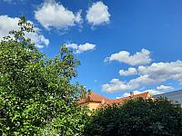 Olešná