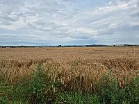 Císařov