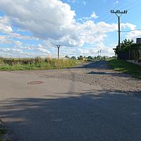 Třibřichy