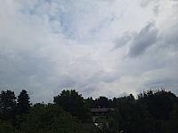 Olešná