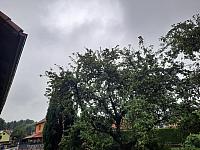 Olešná