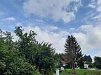 Olešná