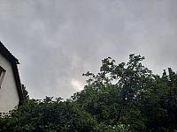 Olešná