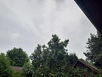Olešná