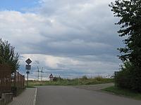 Třibřichy