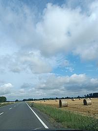 Fotografie