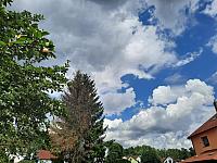 Olešná