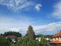 Olešná