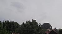 Olešná