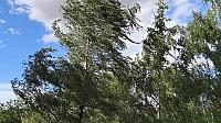 Hradec Králové - Třebeš