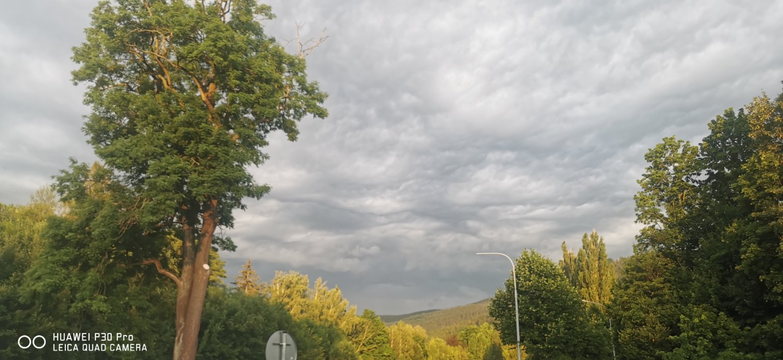 Holčovice