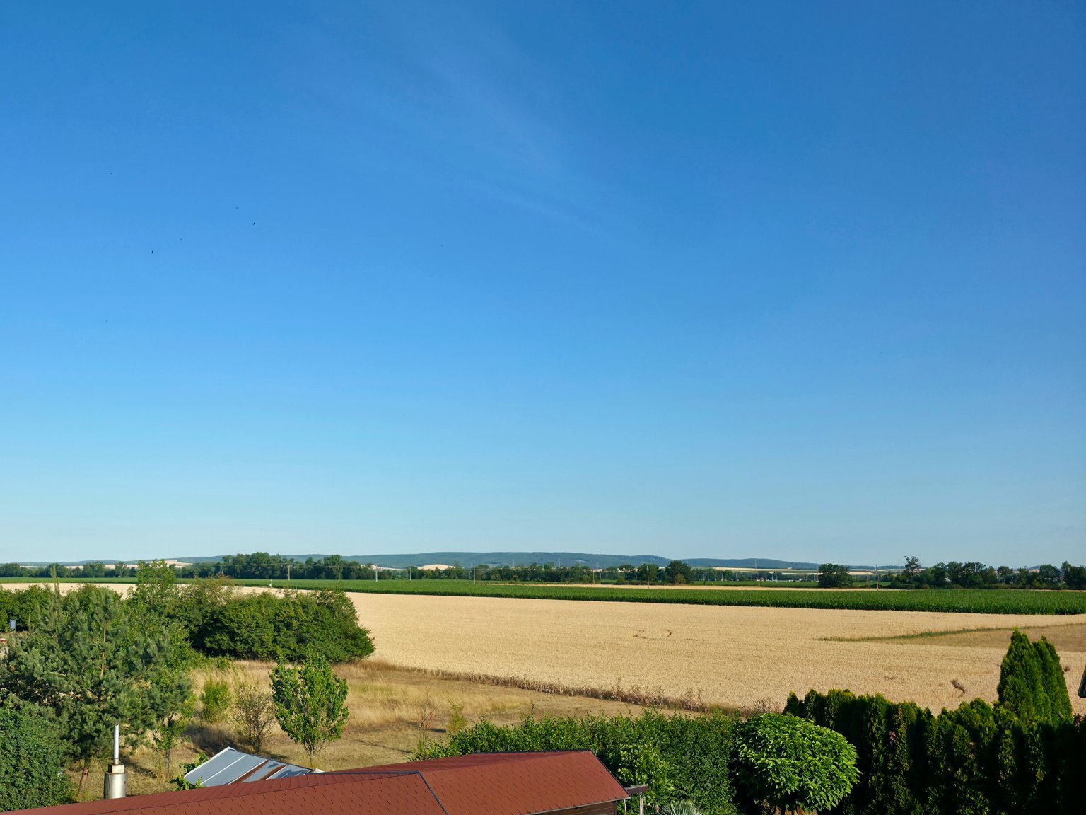 Odrovice