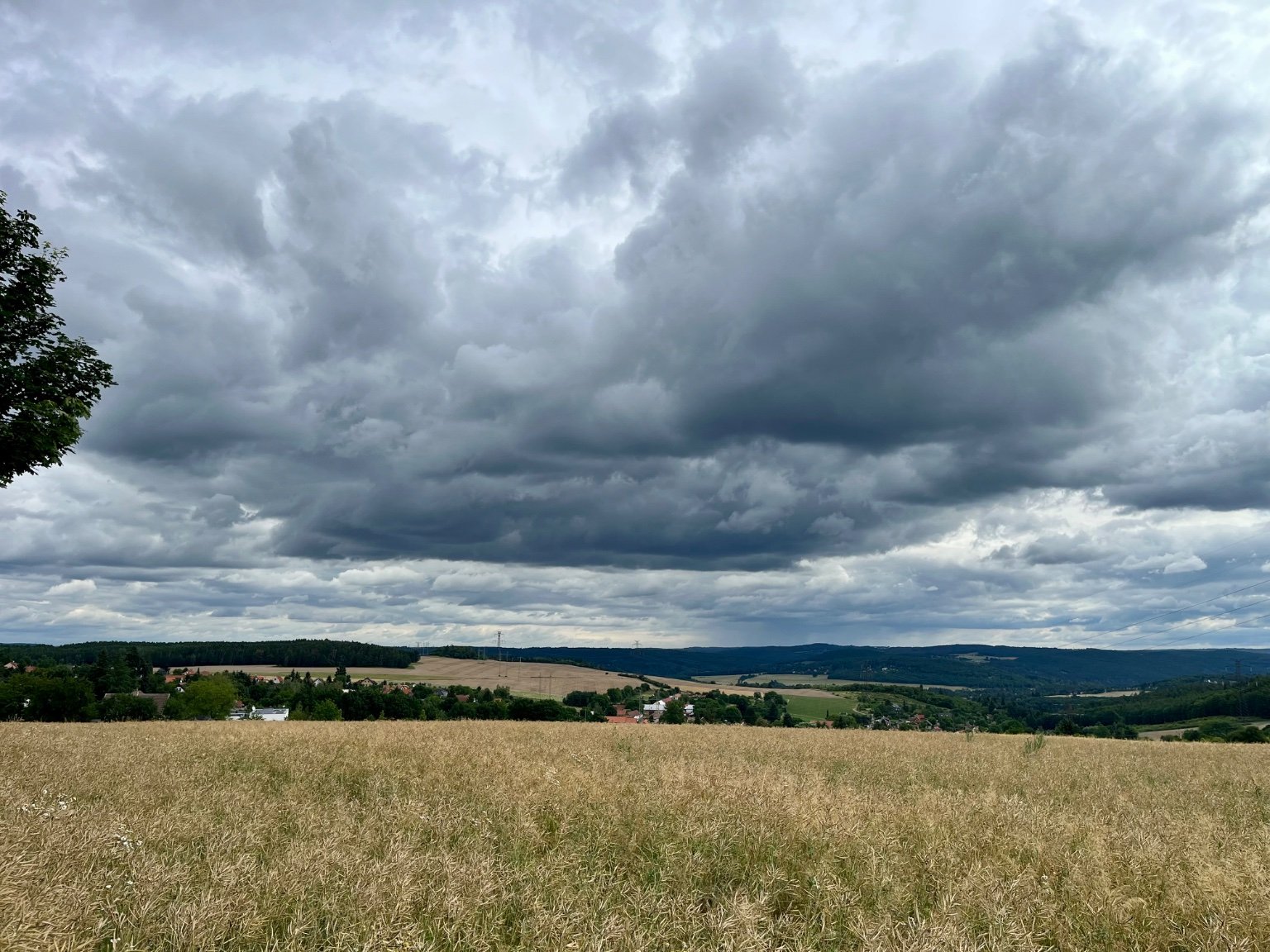 Hvozdnice