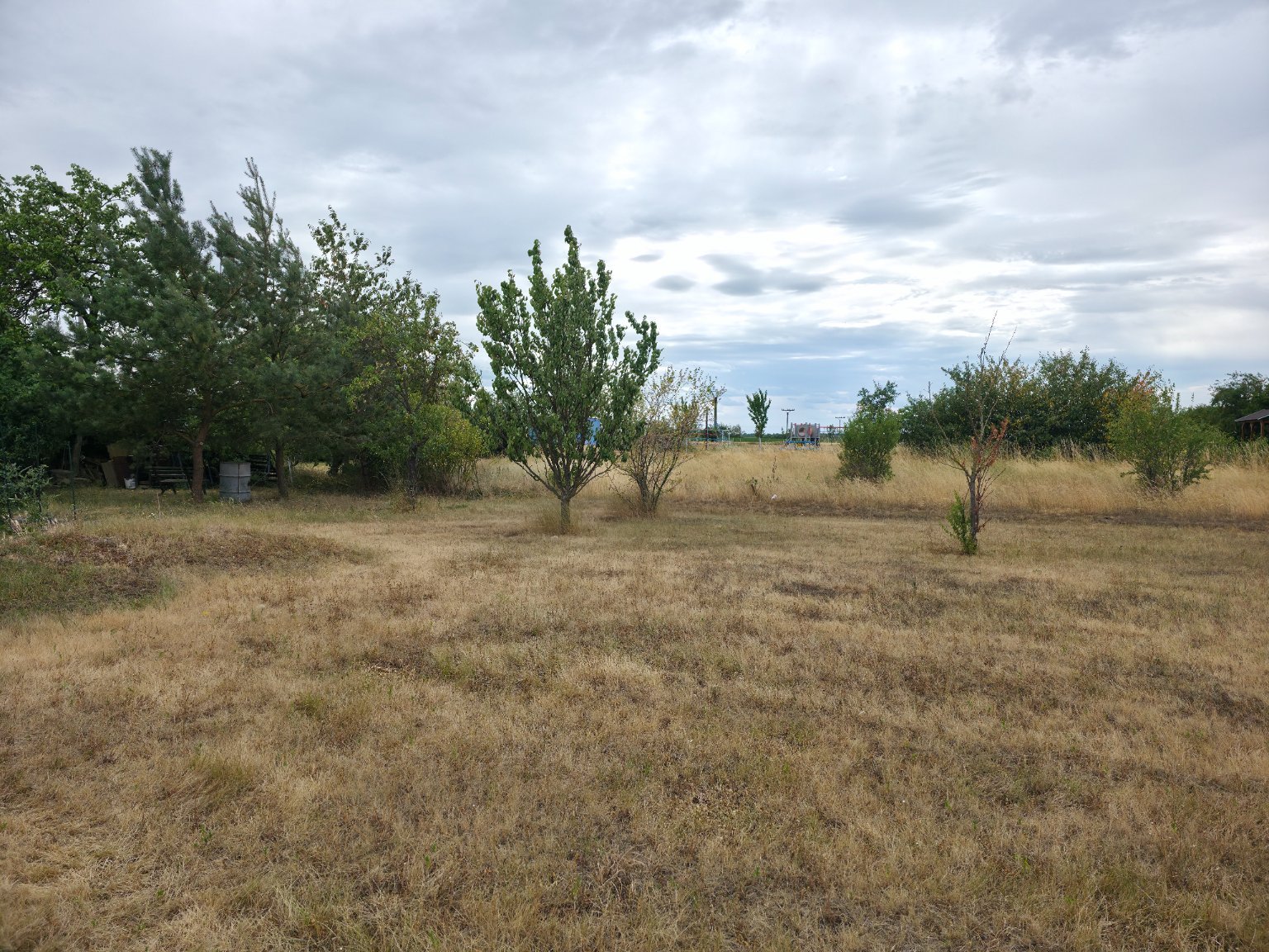 Odrovice