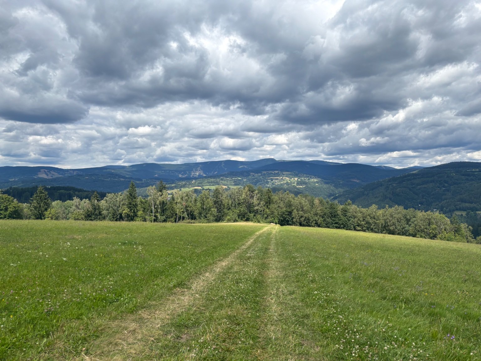 Poniklá