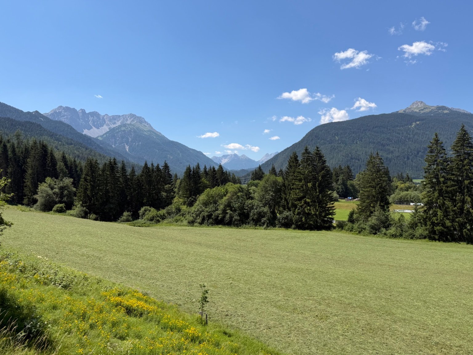 Erhwald