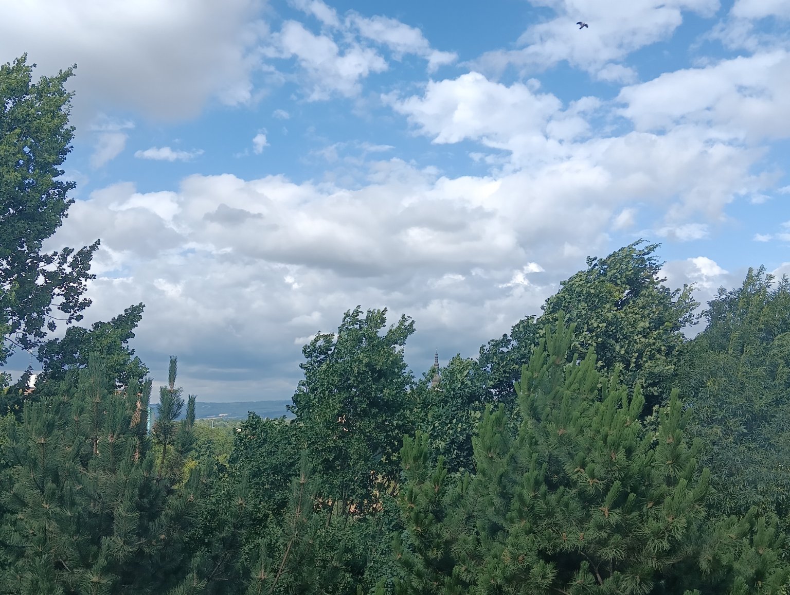 Olomouc-Lazce