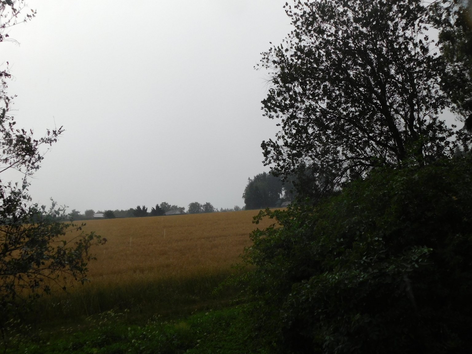 Němčice Zhoř