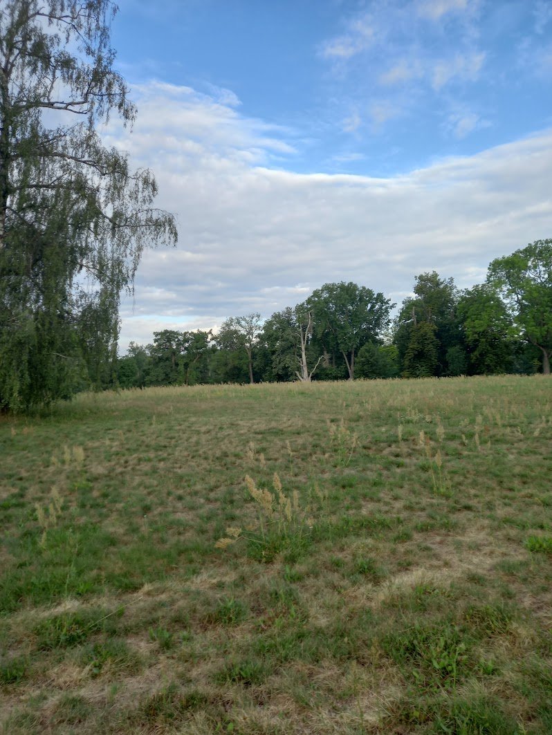 Svatý Mikuláš
