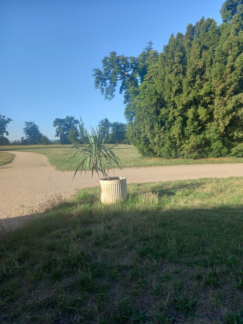 Svatý Mikuláš