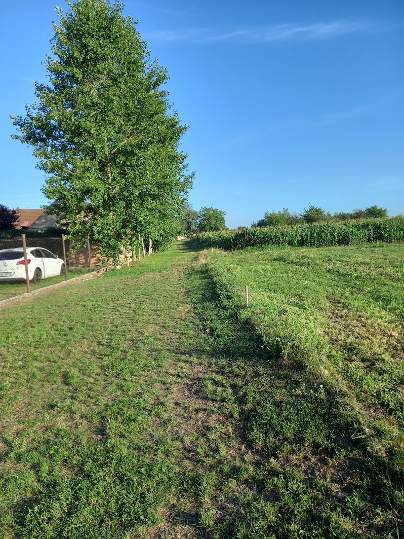 Svatý Mikuláš