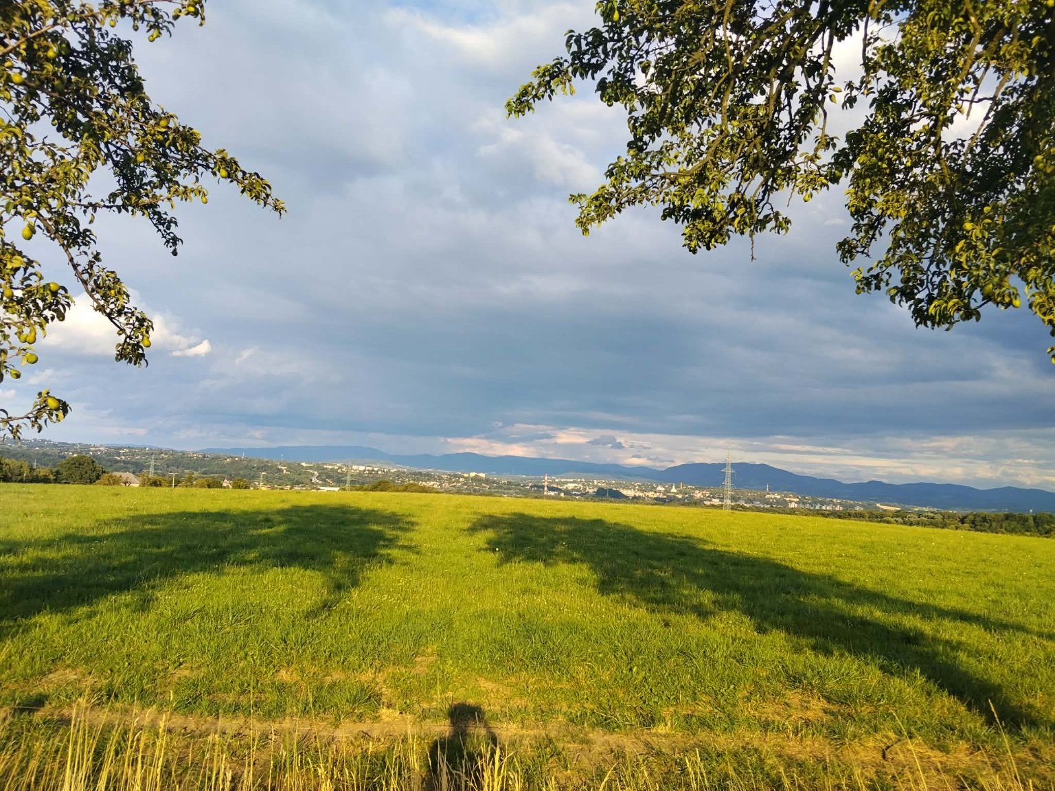Chotěbuz