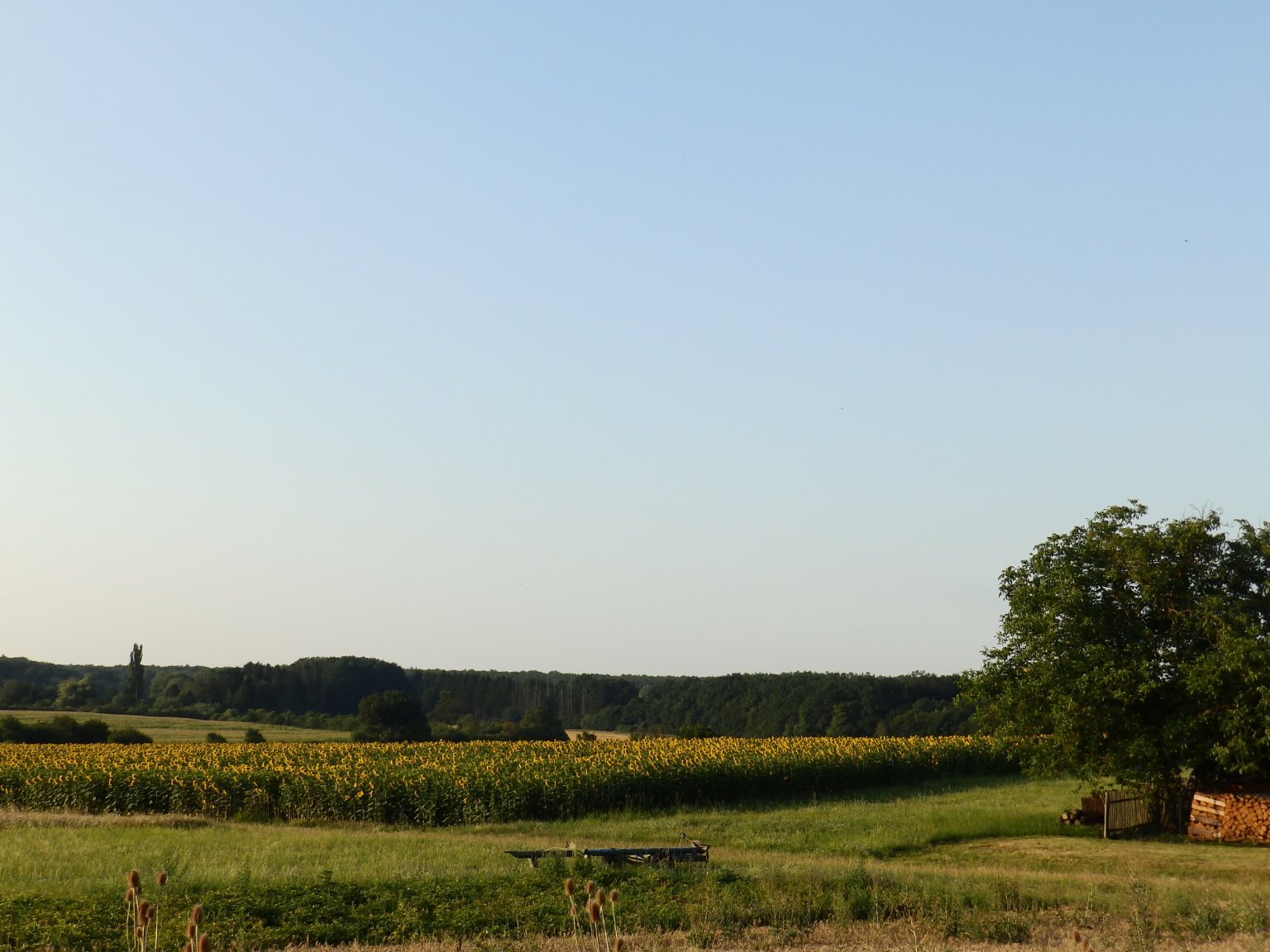 Dětenice-Brodek