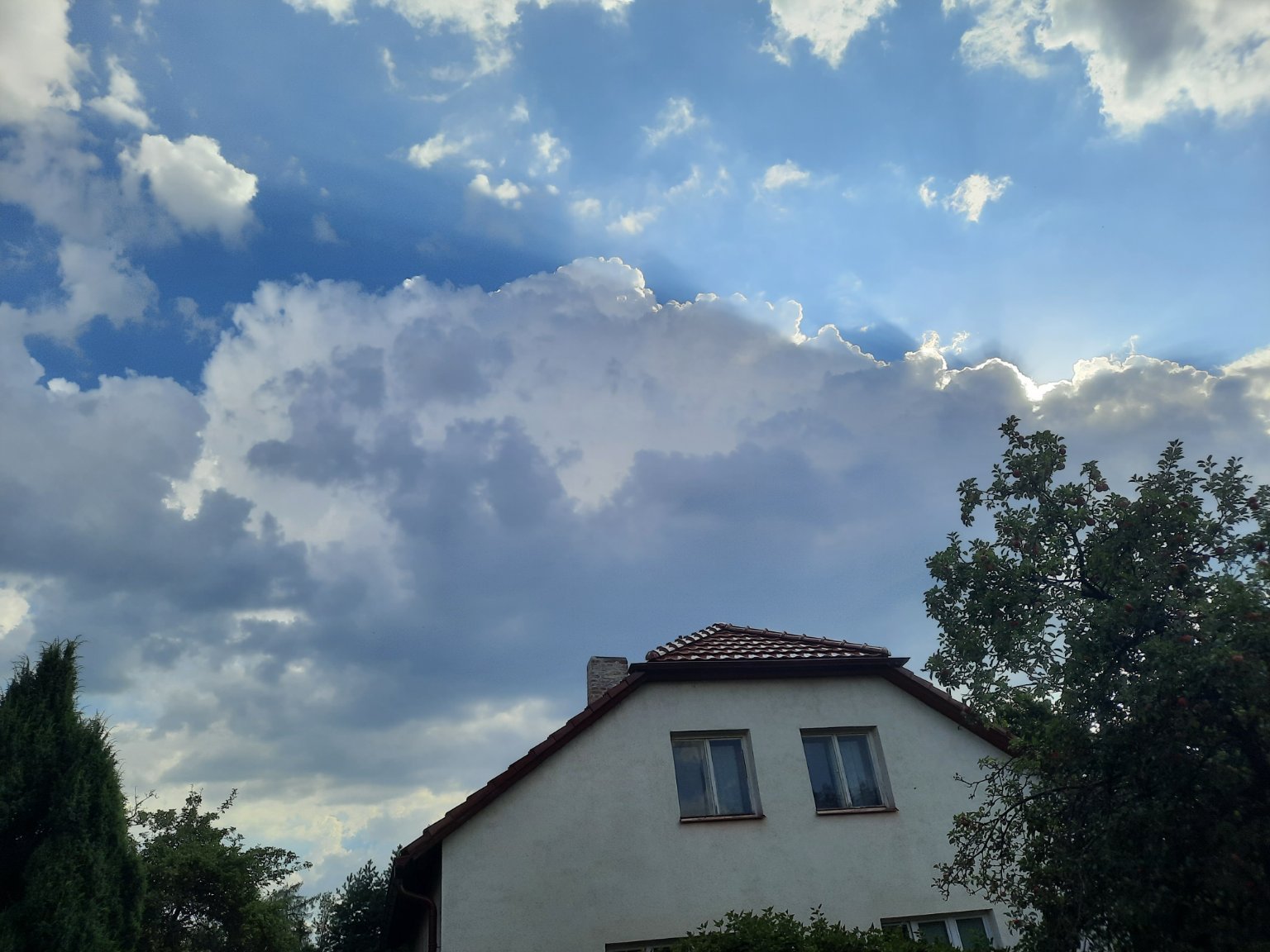 Olešná