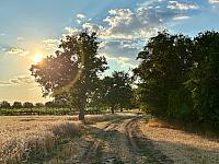 Hrnčiarovce nad Parnou