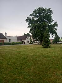 Svatý Mikuláš