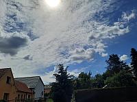 Olešná