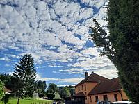 Olešná