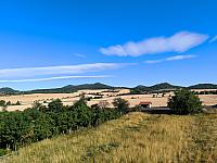 Podsedice