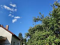 Olešná
