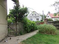 Třibřichy