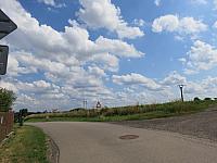 Třibřichy