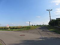 Třibřichy