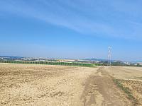 kelčany