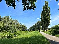 Fotografie