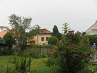 Třibřichy