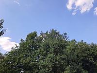 Mezná 