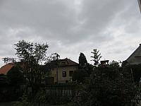 Třibřichy