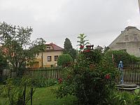 Třibřichy