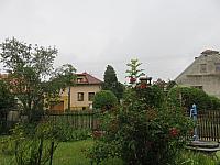 Třibřichy