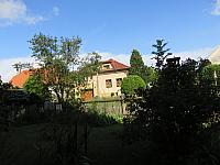 Třibřichy