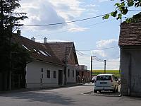 Třibřichy