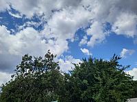 Olešná