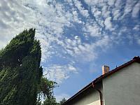 Olešná
