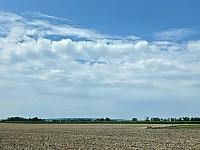 Odrovice